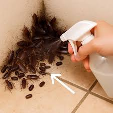 David J Platt tweet media