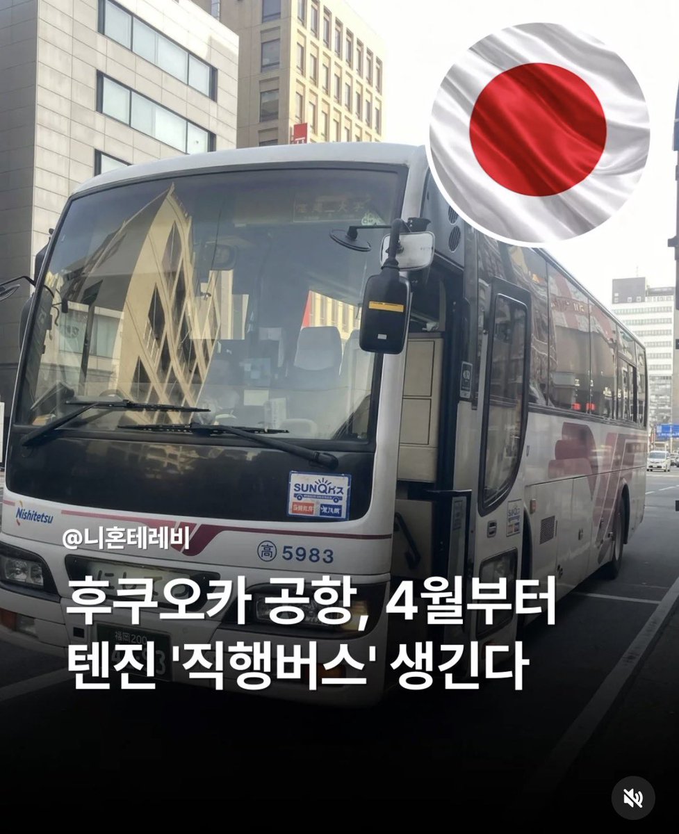 김티거 tweet media