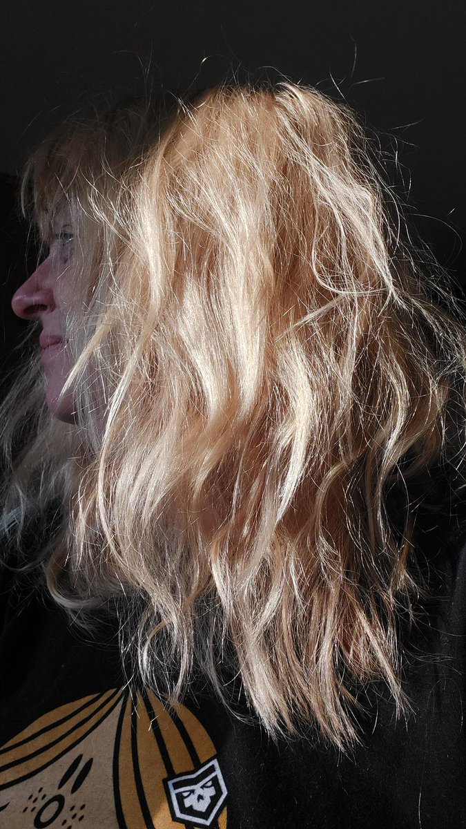 Shirley Johnson📓✒🔫 tweet media