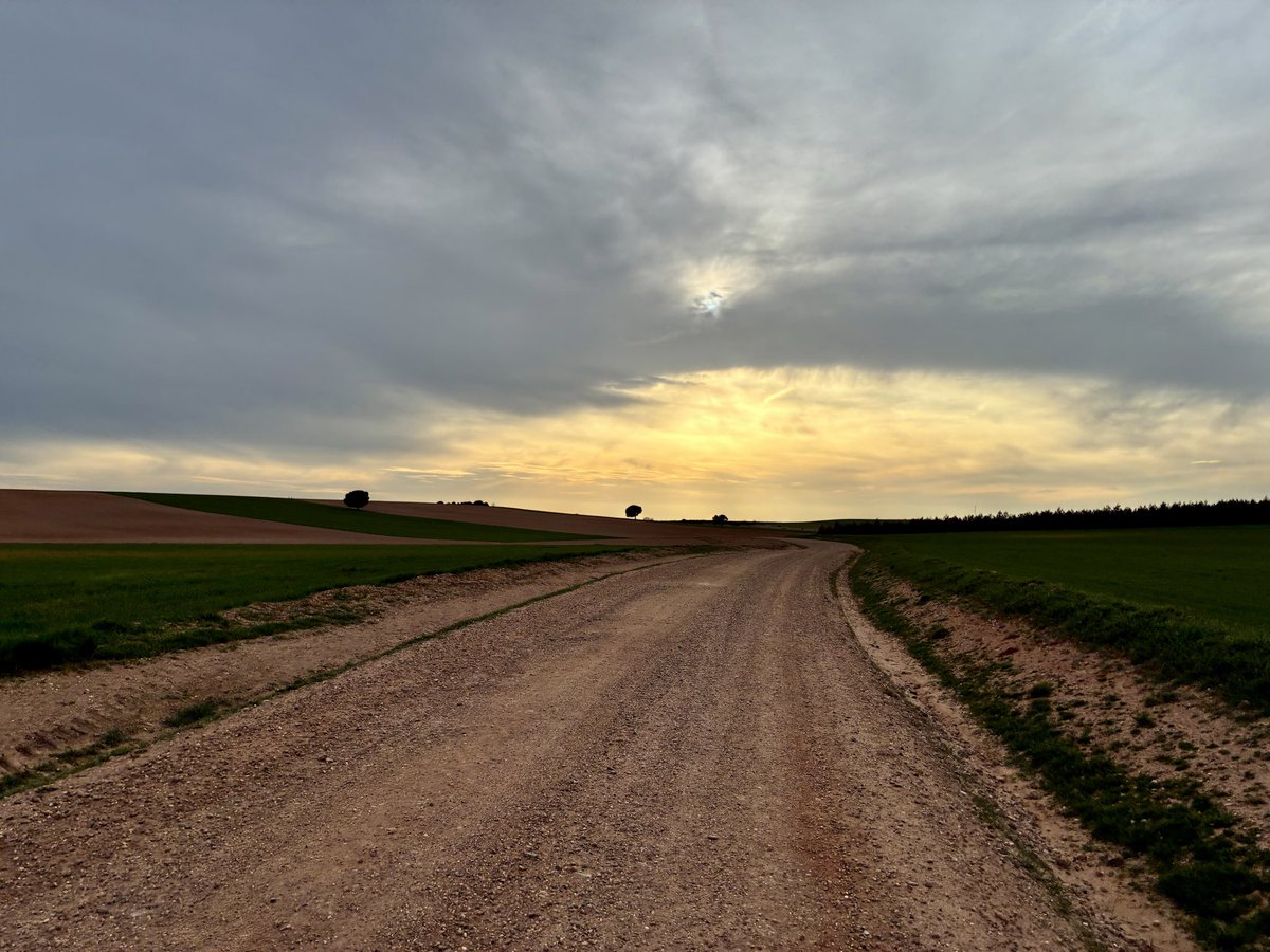 Juan Carlos Navarro tweet media