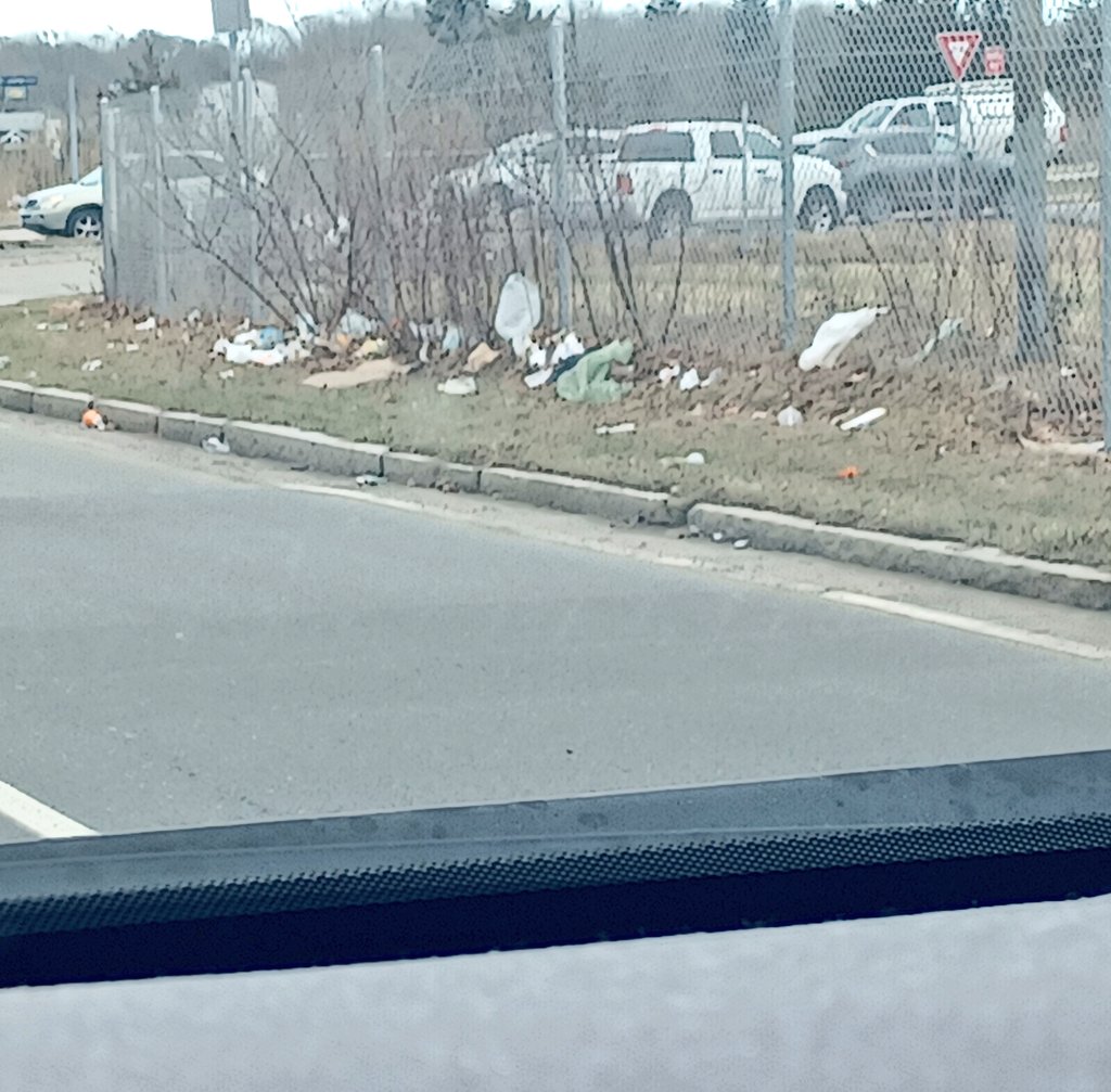 Kristin Carrigg tweet media