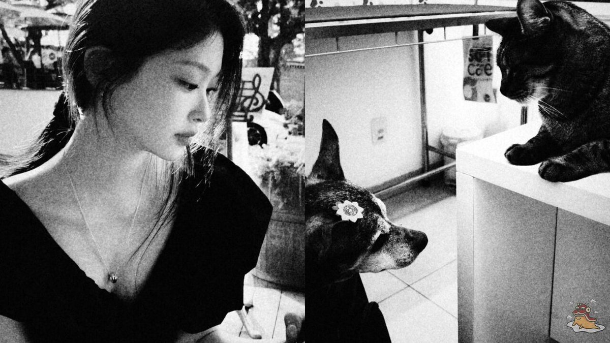 OCIE .ᐟ 🩷🎄 tweet media