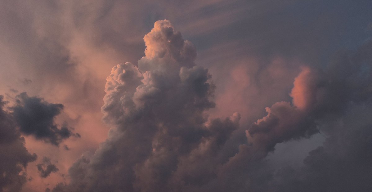 Atiriyā 𓆗𖤓 tweet media