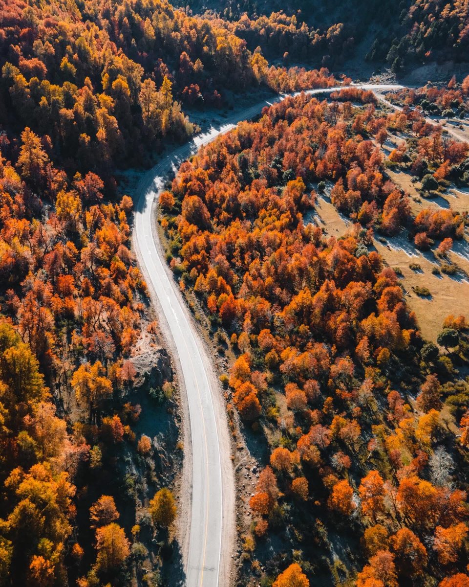 RESPIRAARGENTINA tweet media