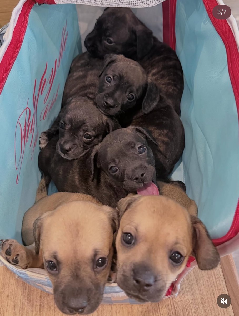 Stand by Winynny 🩵 tweet media