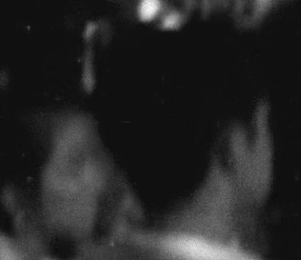 donskiiii tweet media