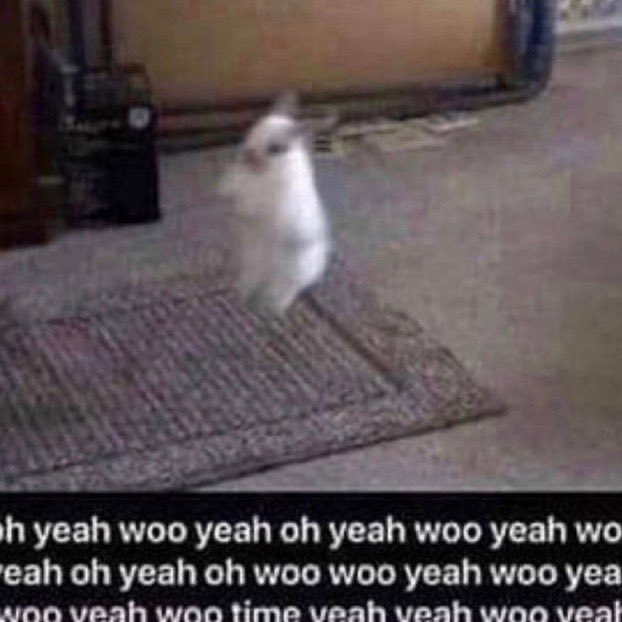 🛡🍎 Talon Avalon🍎 🛡 Elven Knight Vtuber tweet media