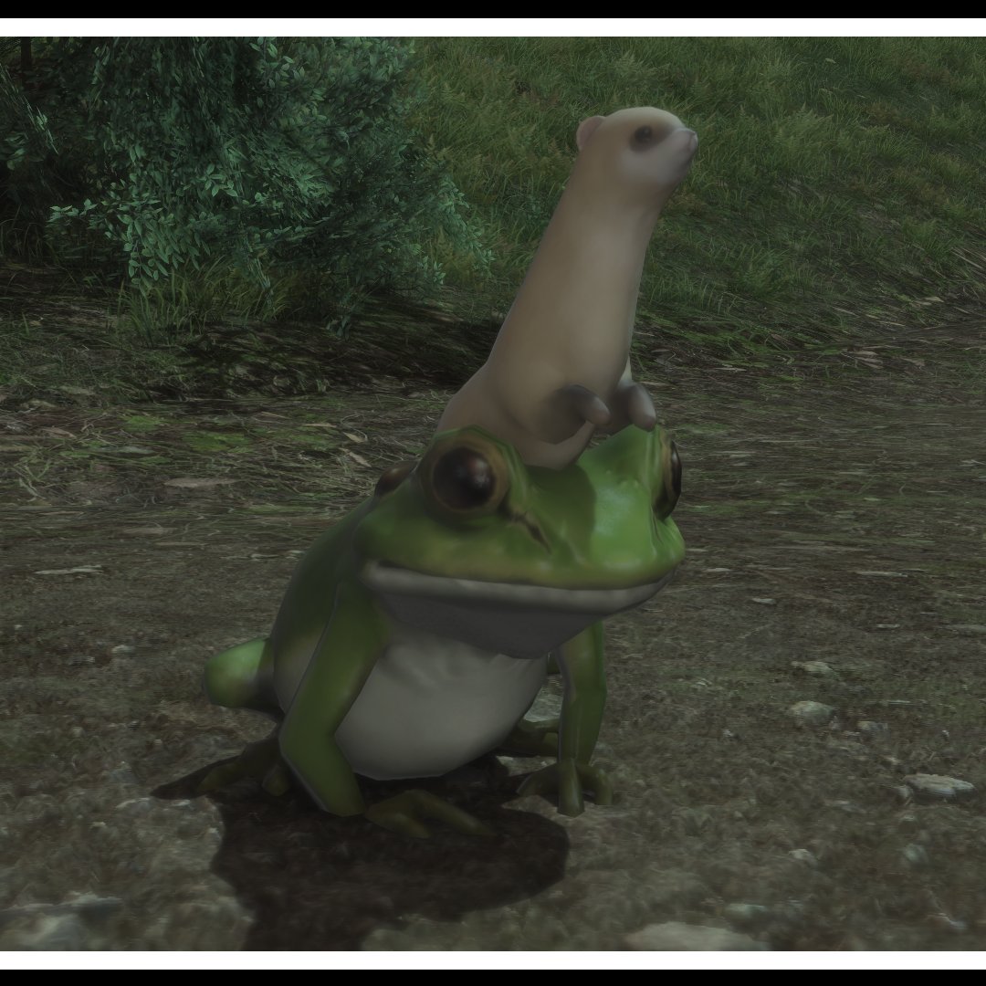 宅貓巴魯 💻🎮FF14豆芽機器人🌱 tweet media