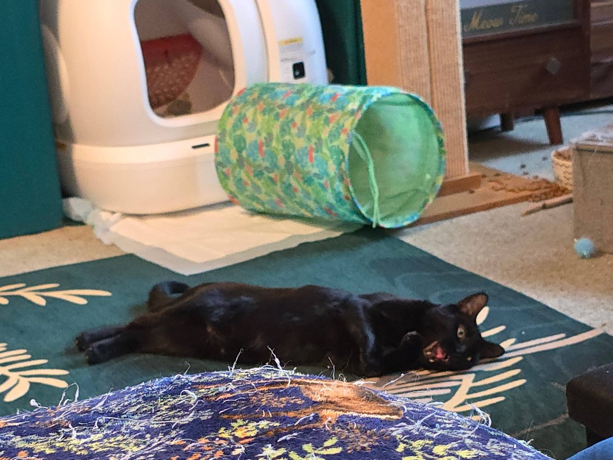 Holly Brockwell tweet media