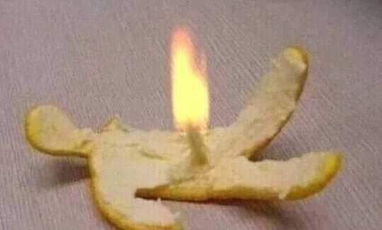 참⚡️🐟 tweet media