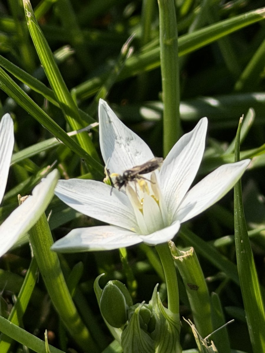 Matteo M. tweet media