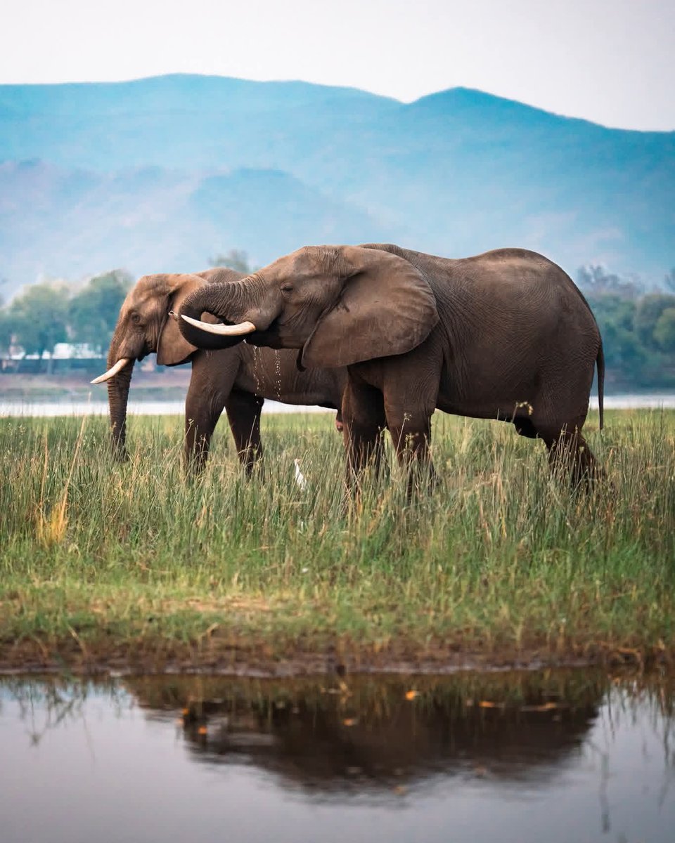 Charter Sights 🌺 tweet media