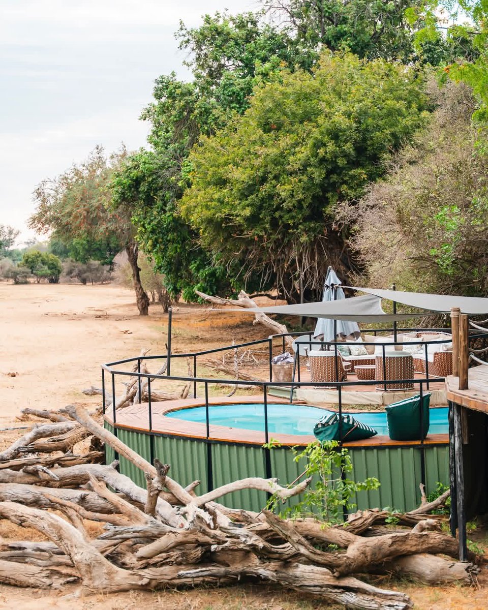 Charter Sights 🌺 tweet media