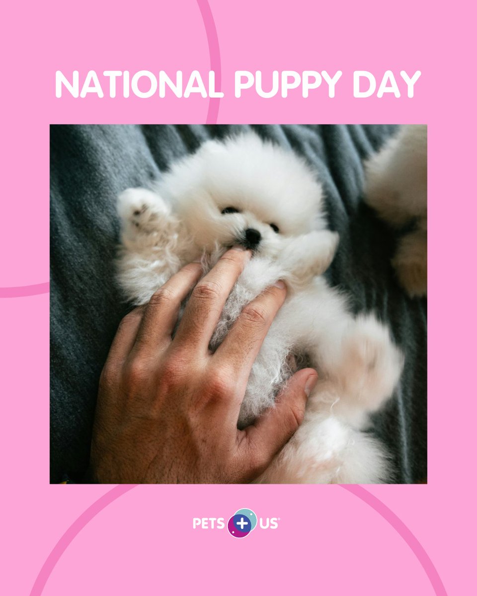 Pets Plus Us tweet media