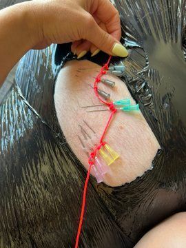 𝒱𝑒𝓇𝒶 𝐿𝑒𝑜𝓃𝑒 - DC & Amsterdam tweet media