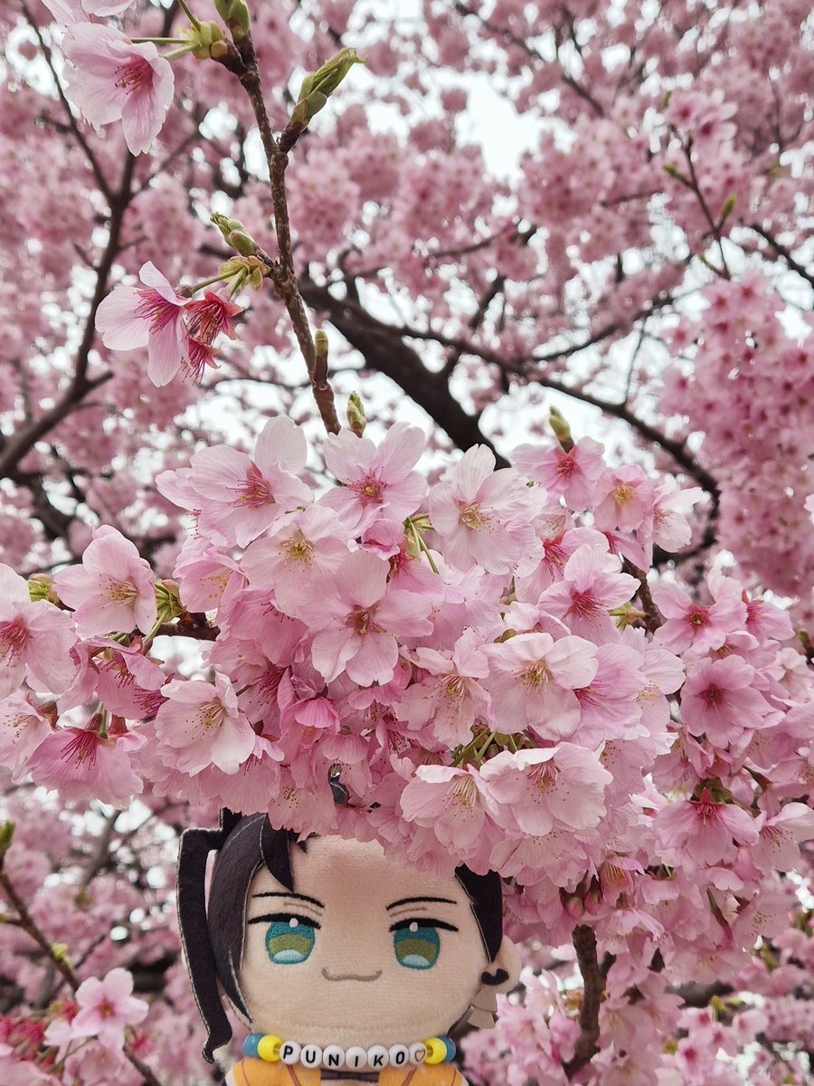 lin 🍊 || 3D chibi artist tweet media