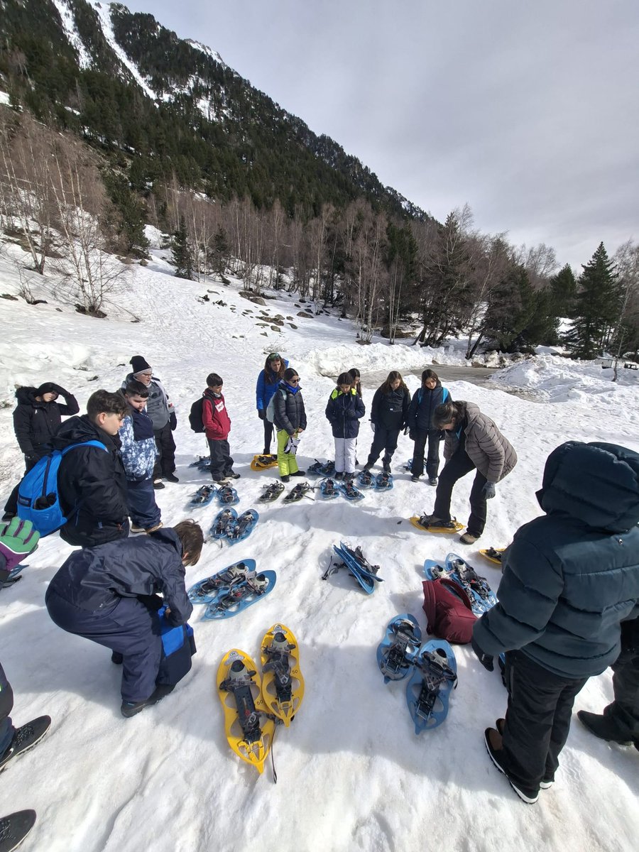 CdA Valls d'Àneu tweet media