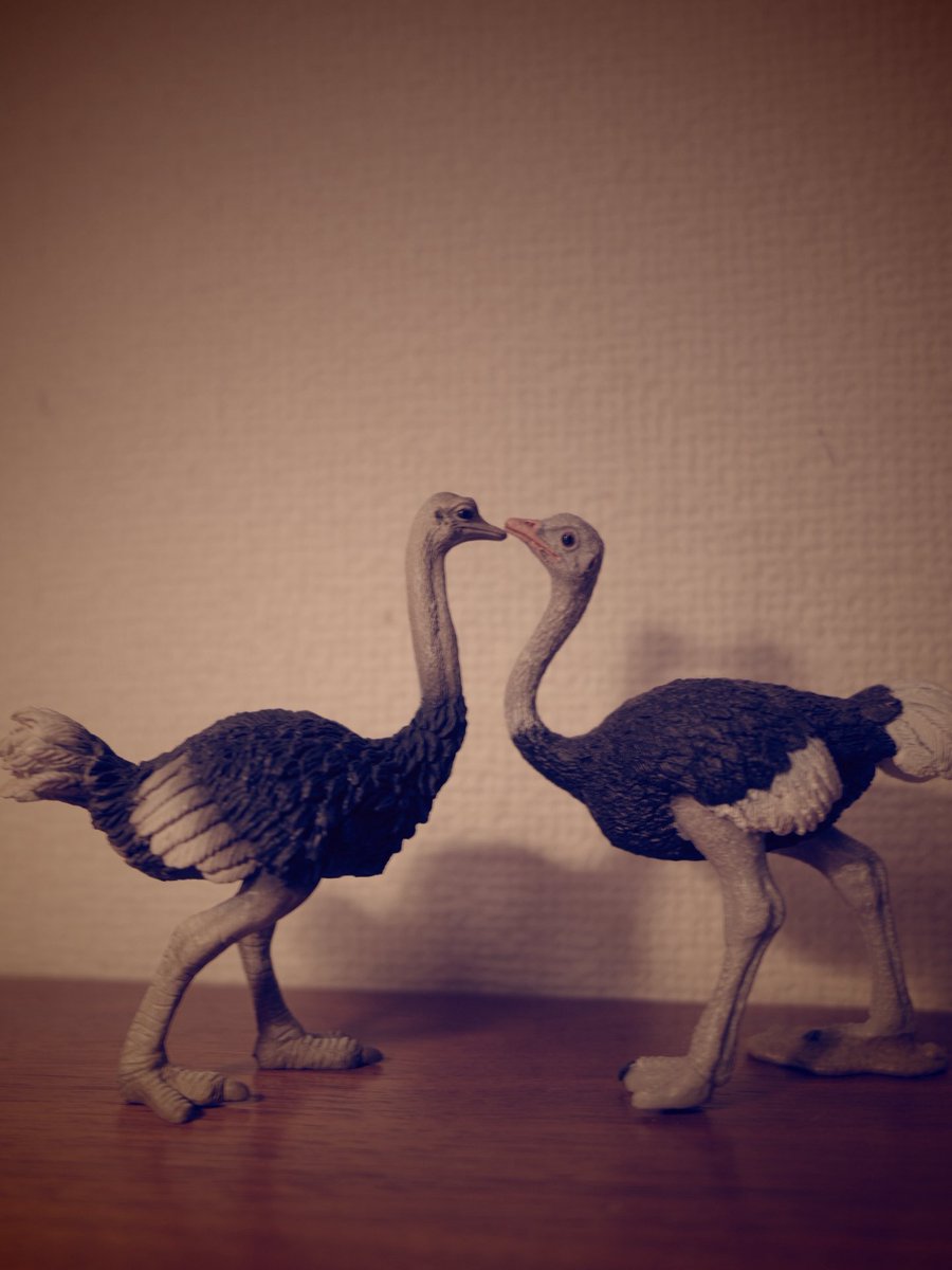 みなみん tweet media