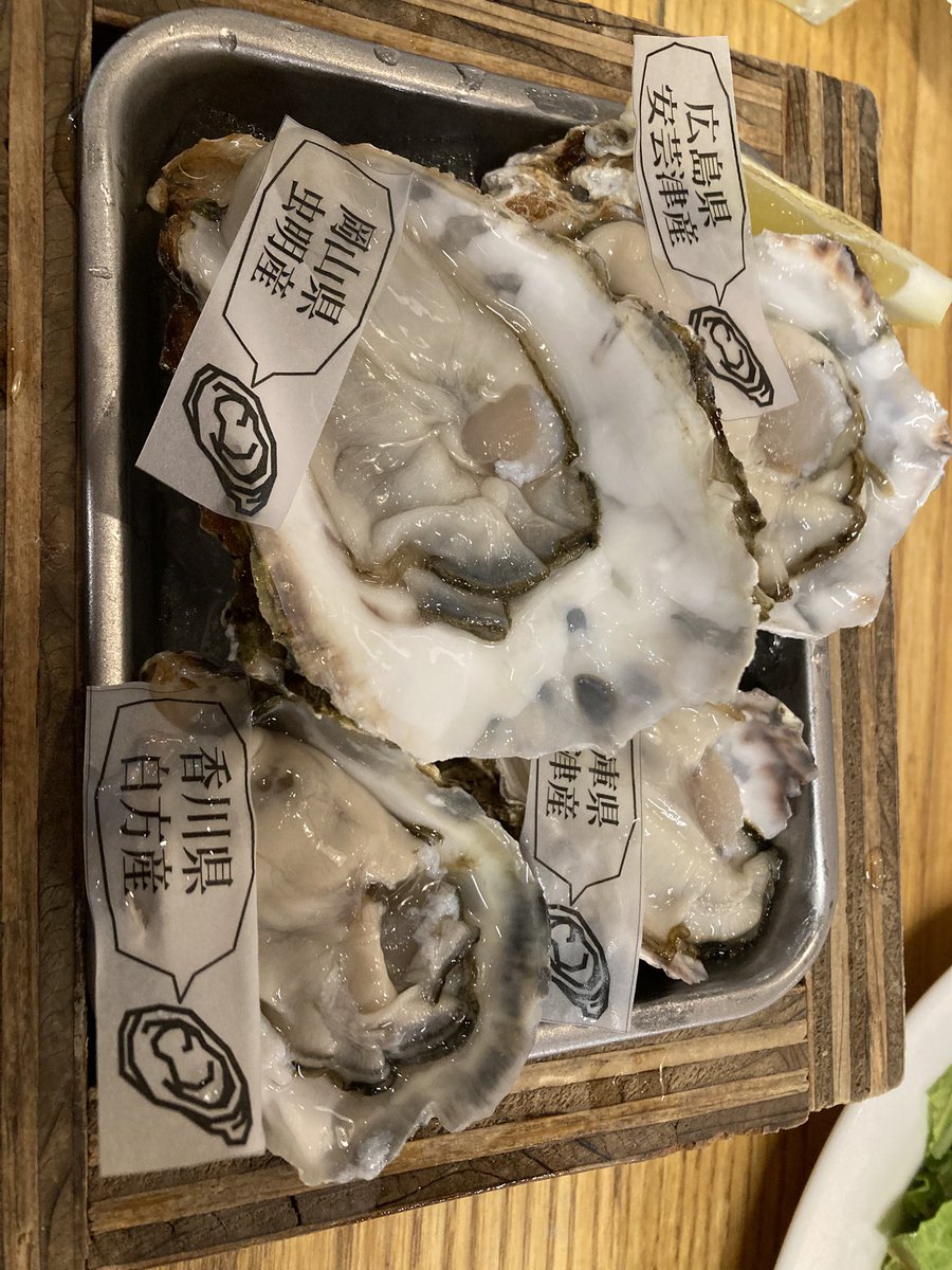 くどう。 tweet media