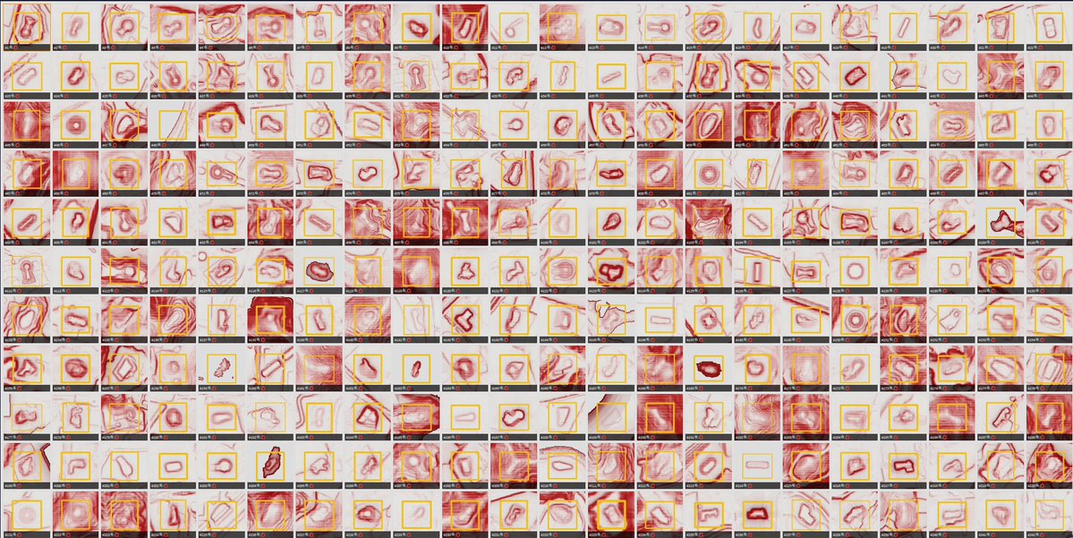 Tasuku Suzuki tweet media