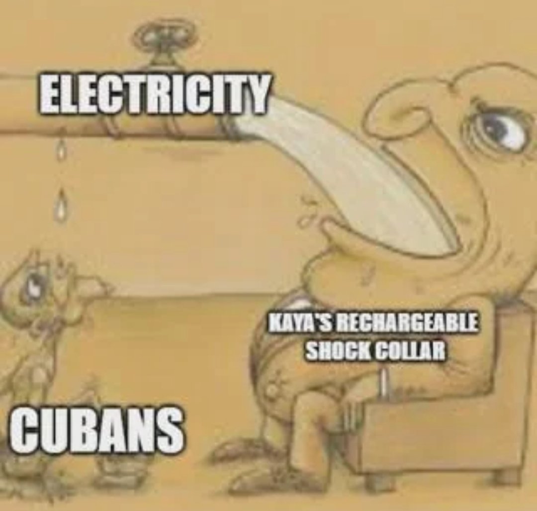 timely bean tweet media
