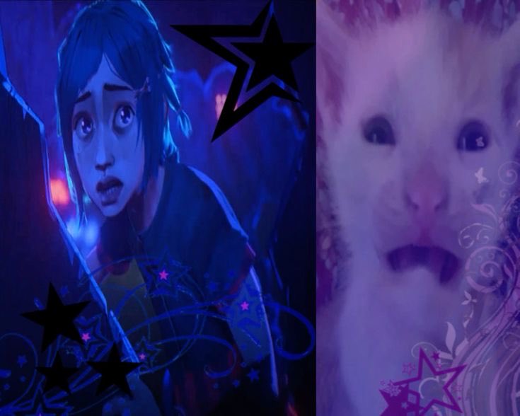 powpow 🩷 tweet media