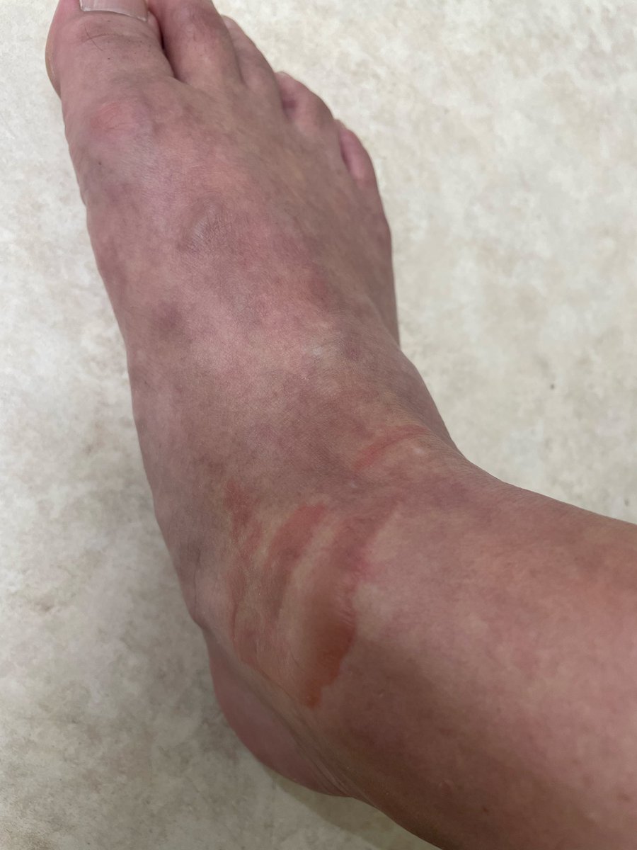 鷹取秀次 tweet media