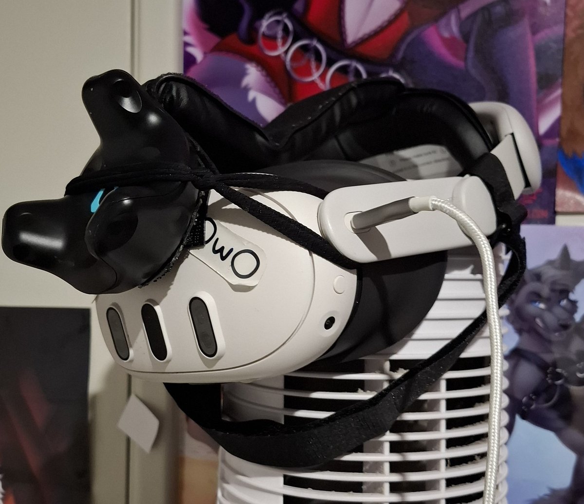 TheOnlyFoxGoBrr tweet media