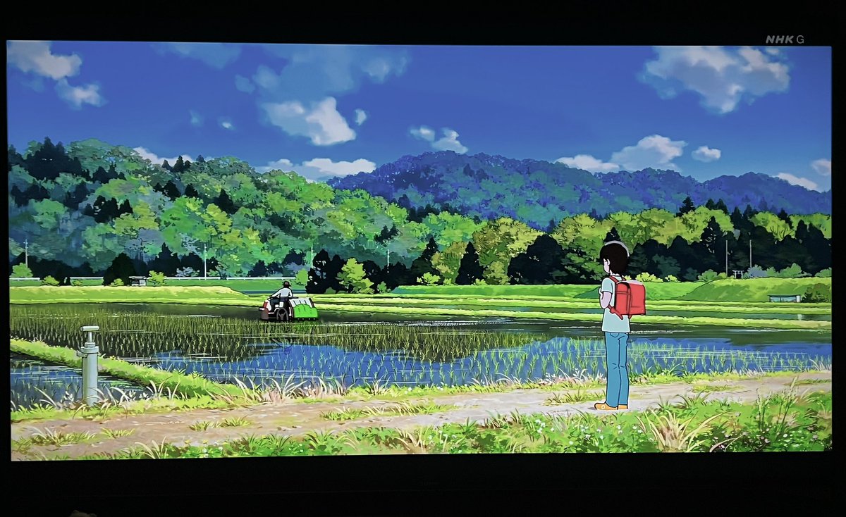 だまち(さめしまきよし) tweet media