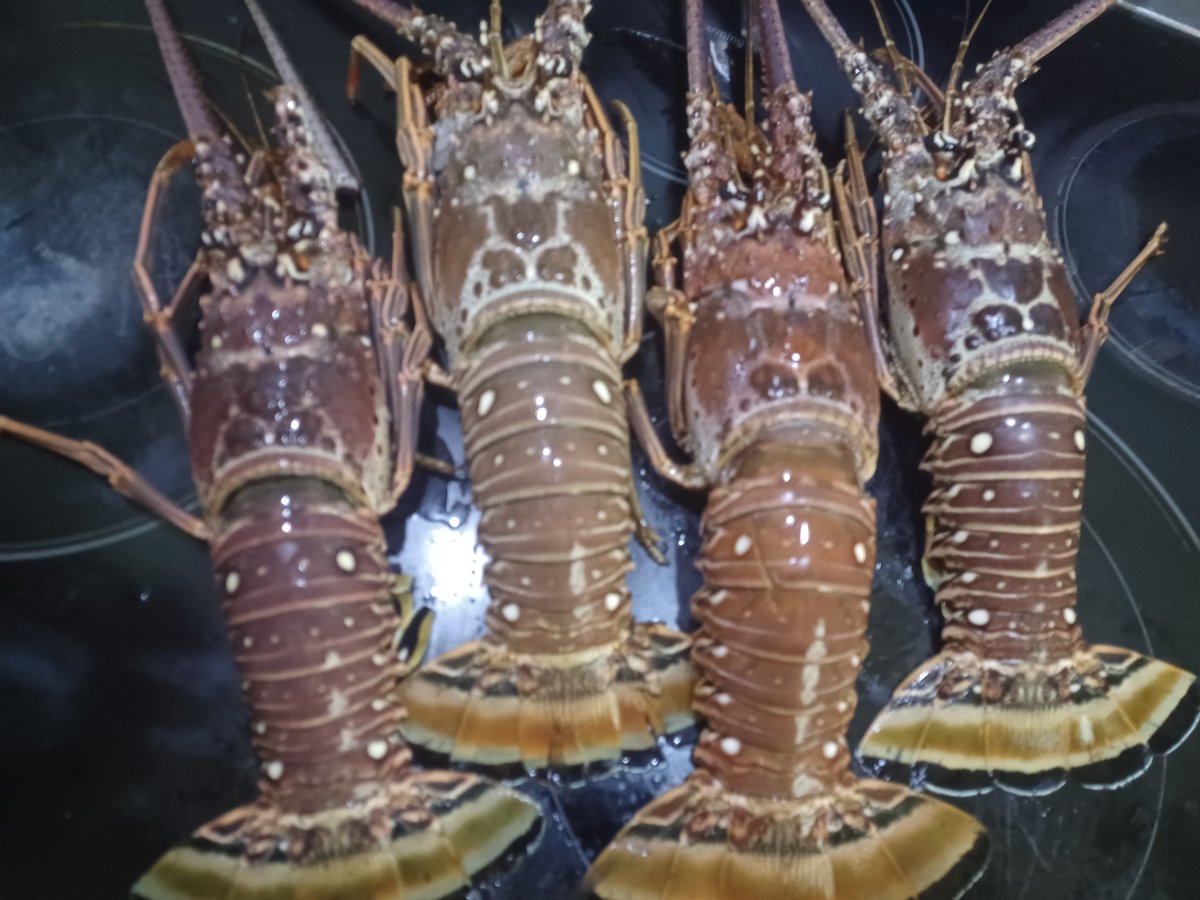 vadfred 🌐 tweet media