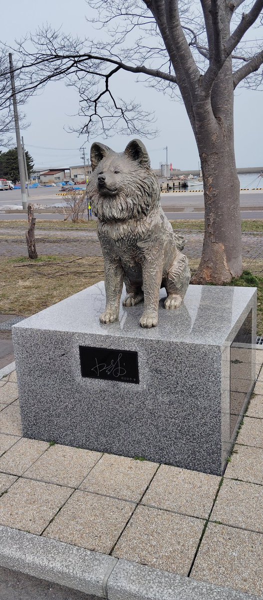 kisa@青森県つがる市の行政書士 tweet media