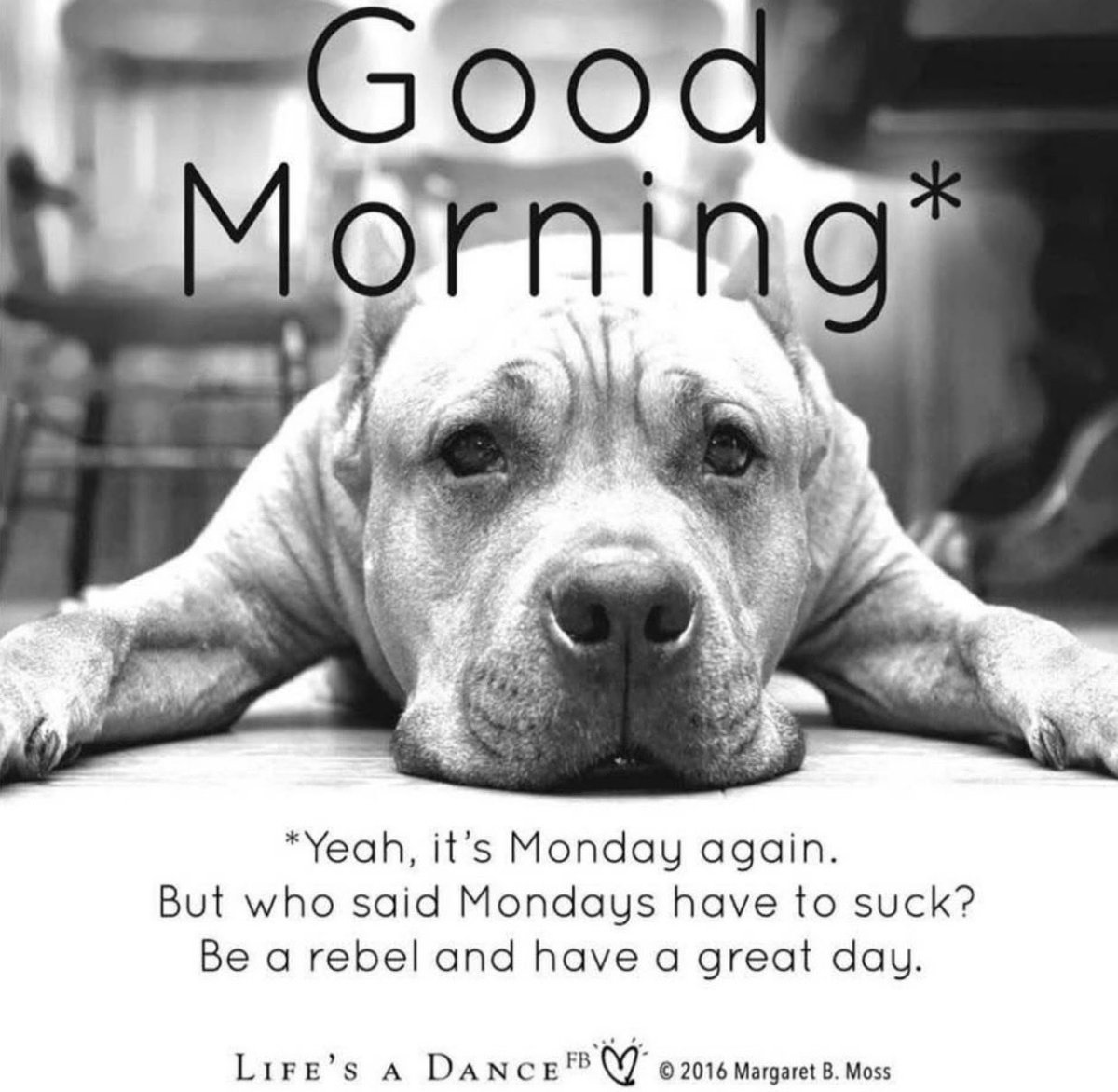 PammsyNow tweet media