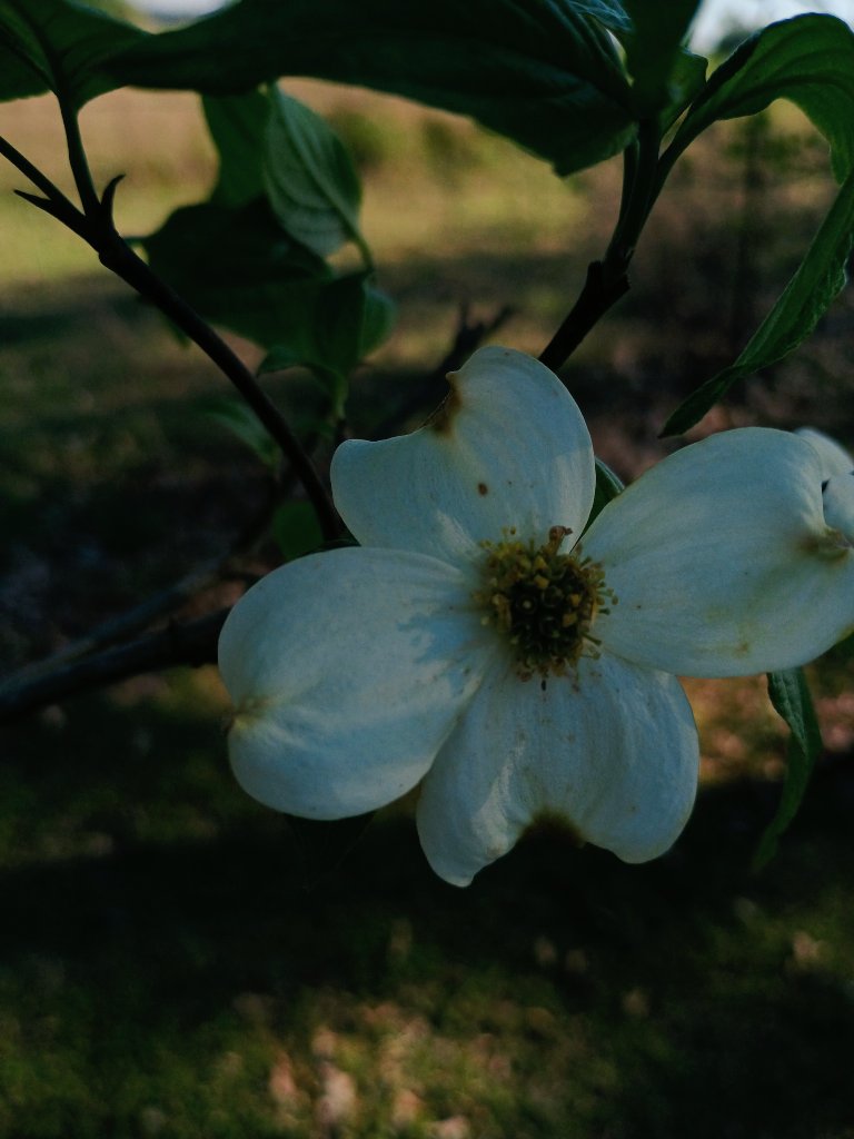 86_mjw's tweet image. #goodmorning from southgeorgia.. 🌞👋 #happymonday