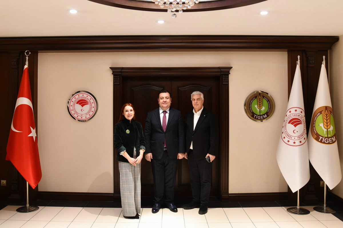 Elif Aşlamacı Attepe tweet media