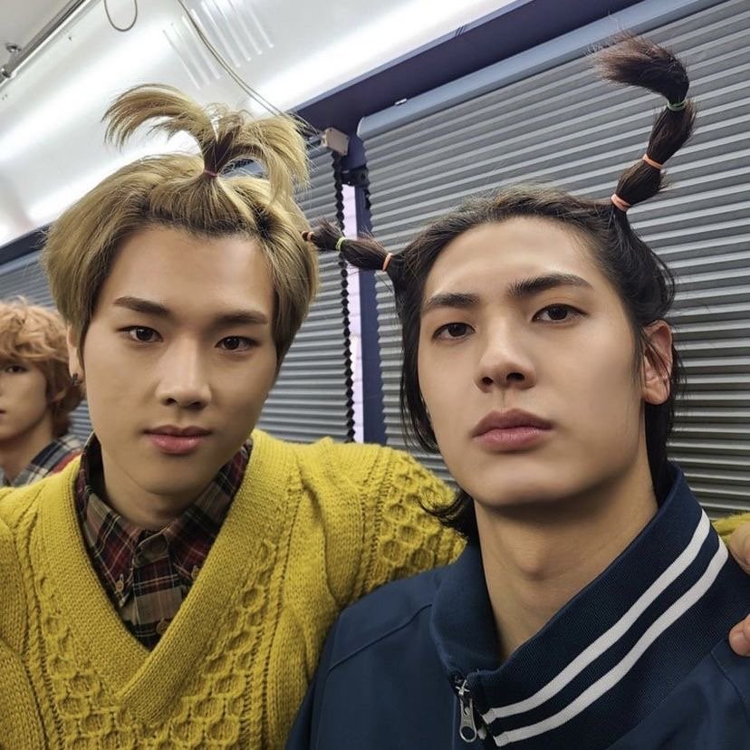 쪙냐🐾 tweet media