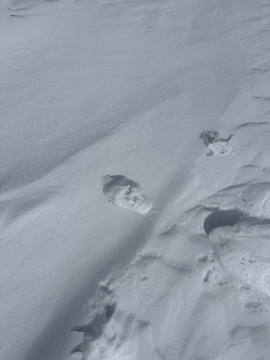 関口きらら tweet media