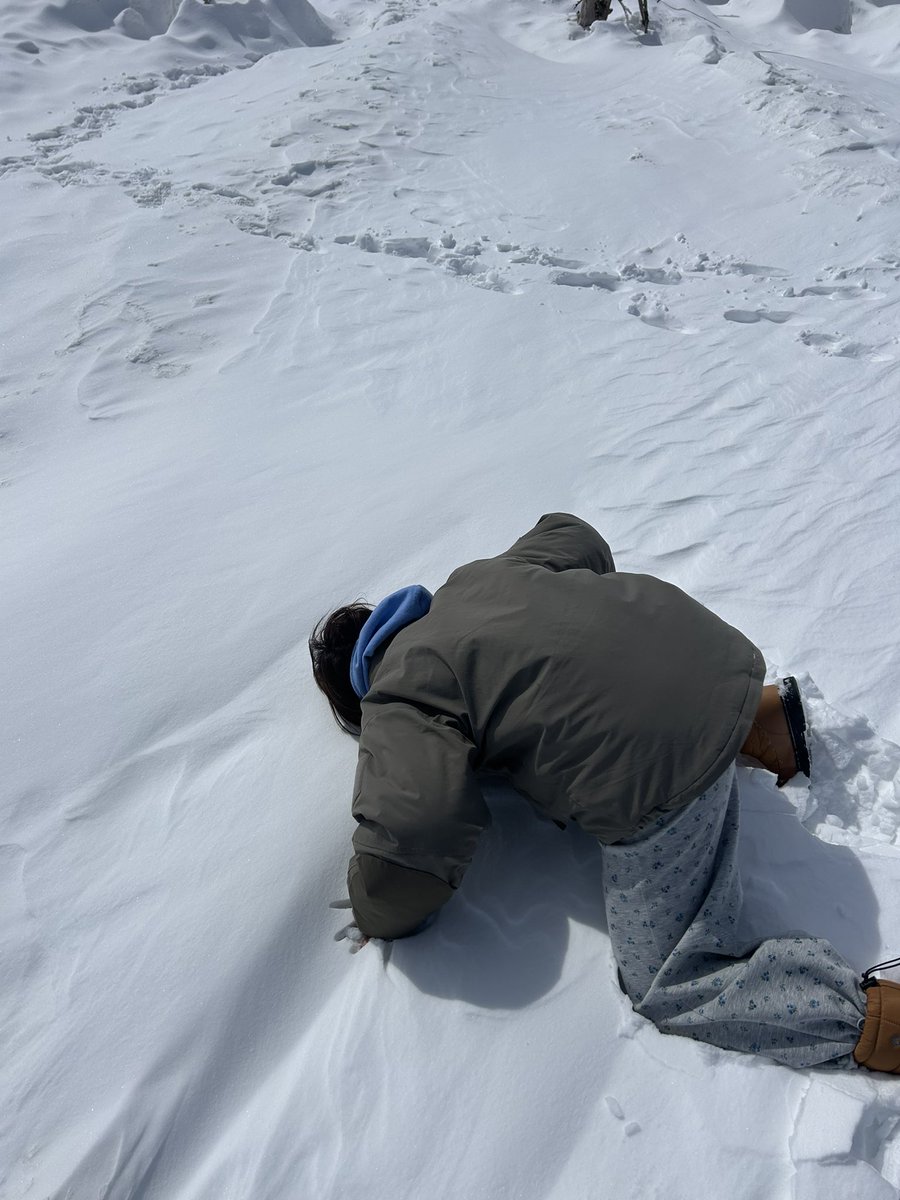 関口きらら tweet media