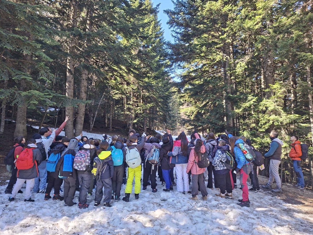 CdA Valls d'Àneu tweet media