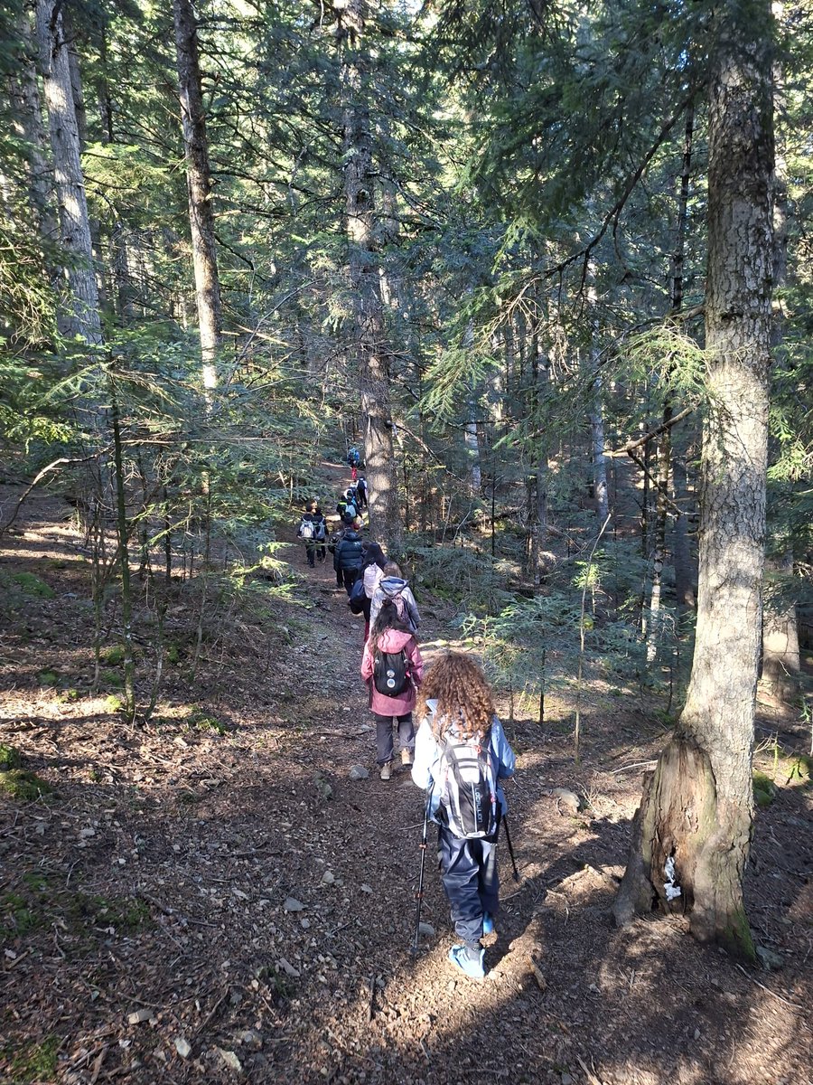 CdA Valls d'Àneu tweet media