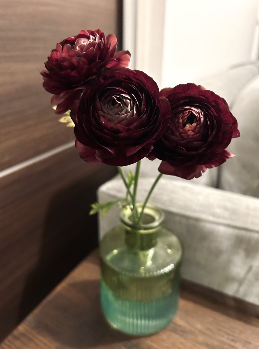 今週の花、ラナンキュラス