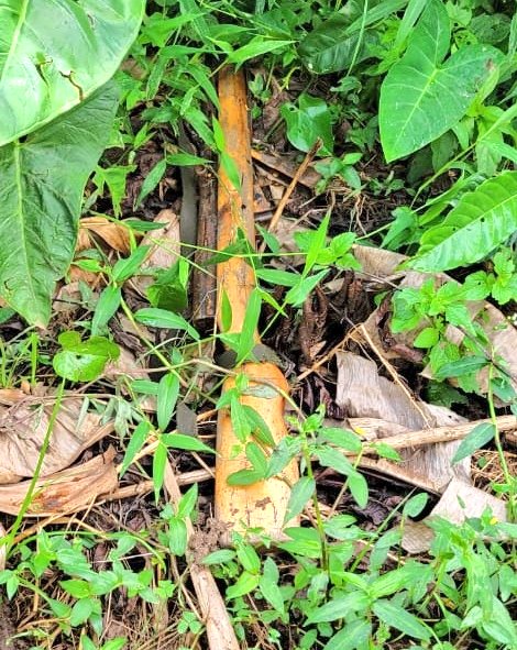 Uganda Police Force tweet media