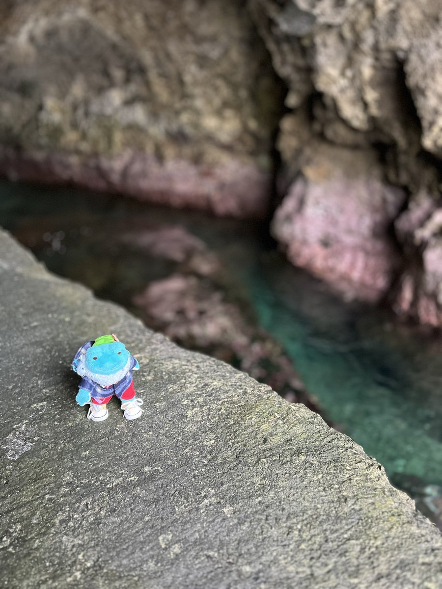 あーさぁ🛌 tweet media