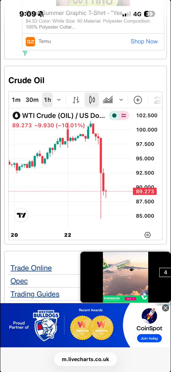 JJB McGill esquire Hoolz. living on McGill land tweet media