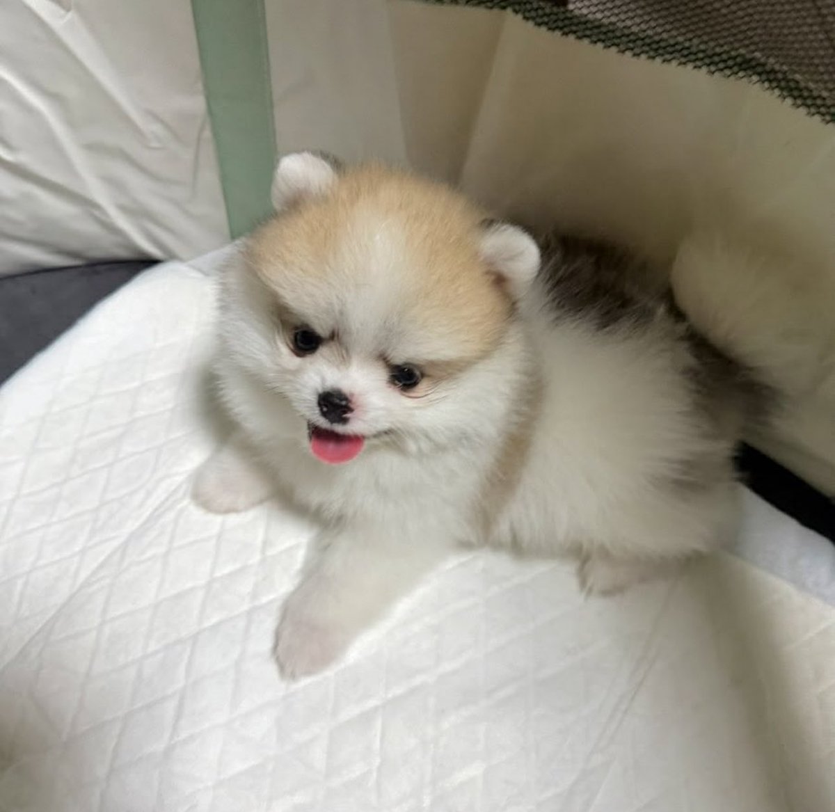 Stand by Winynny 🩵 tweet media