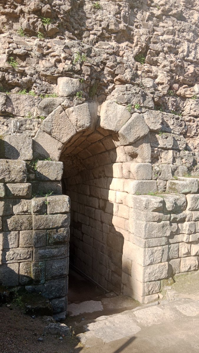 Mérida Y Más - Visitas Guiadas (Pilar) tweet media