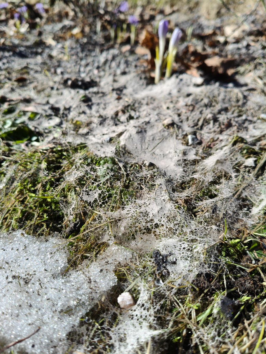 Jänis 🐇 tweet media