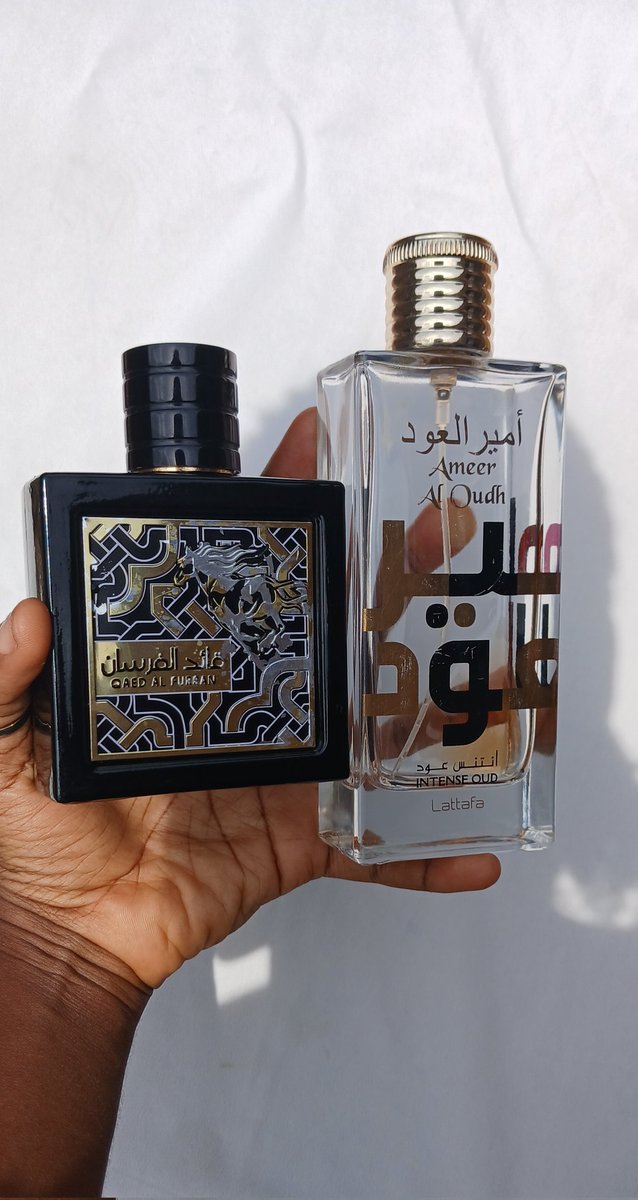 ARINOLA SUCRE, bookwormwritersmellsogood tweet media