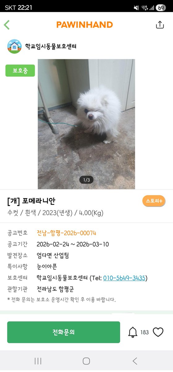 하나와애옹 tweet media