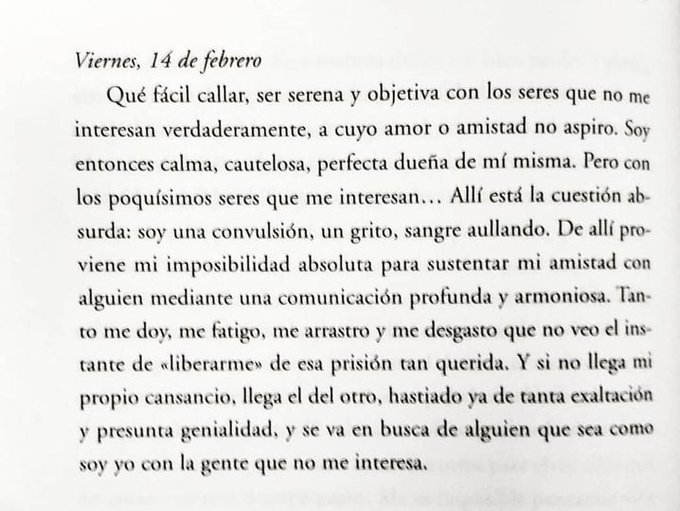 literland tweet media