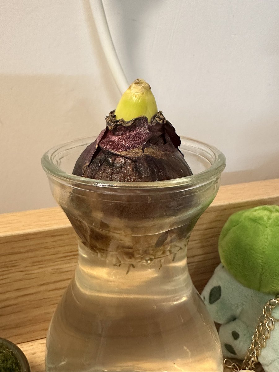 奕晴📷 tweet media